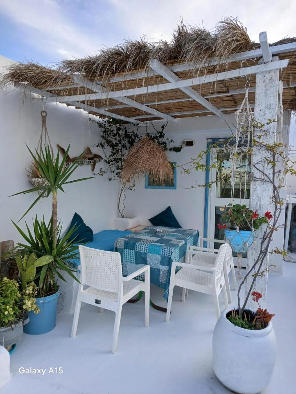 Dar Evelyne By Daldoul Hotel Mahdia Exterior photo